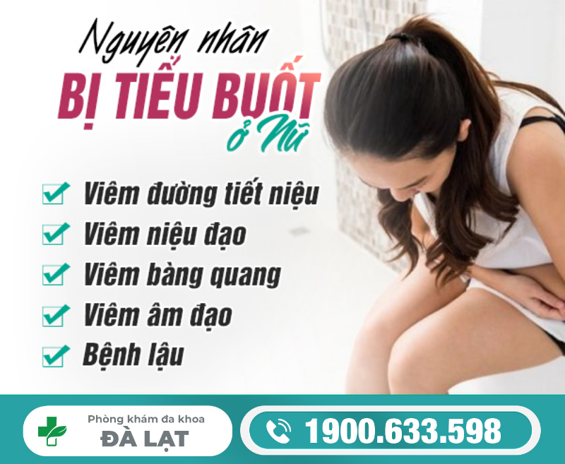 Hình ảnh minh họa